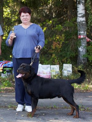 Dog Photo