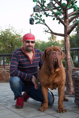 Dog Photo