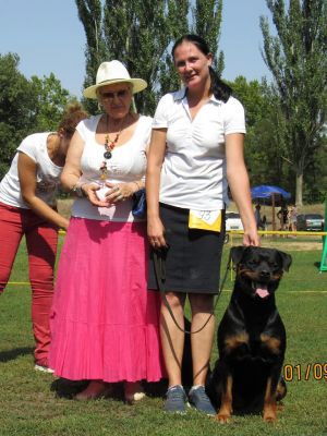 Dog Photo