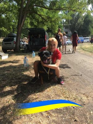 Dog Photo
