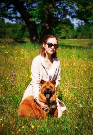 Dog Photo