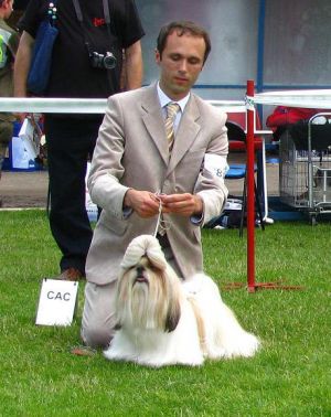Dog Photo