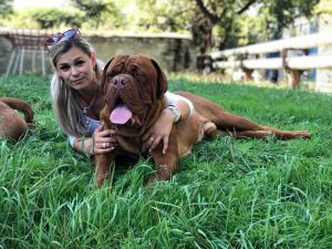 Dog Photo
