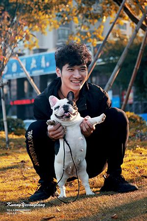Dog Photo