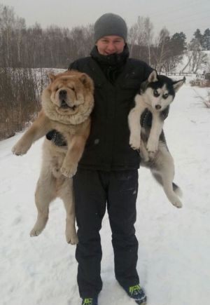 Dog Photo