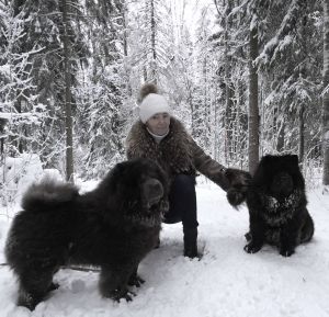 Dog Photo