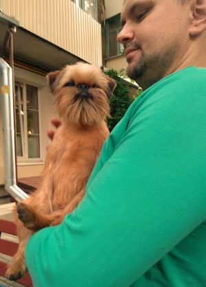Dog Photo