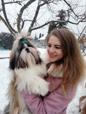 Dog Photo