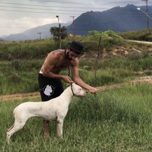 Dog Photo