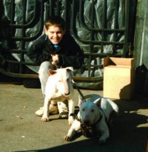 Dog Photo