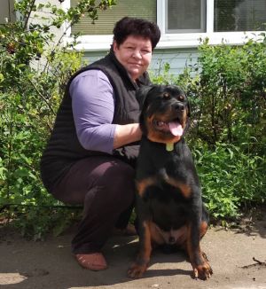 Dog Photo