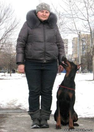 Dog Photo