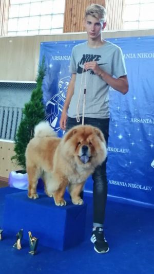 Dog Photo