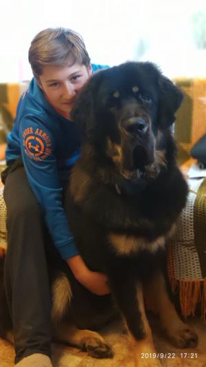 Dog Photo