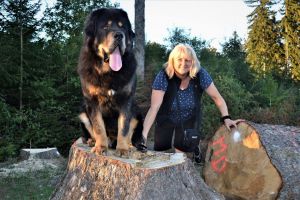 Dog Photo