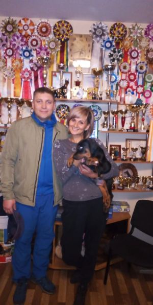 Dog Photo