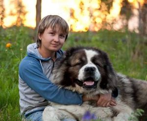 Dog Photo