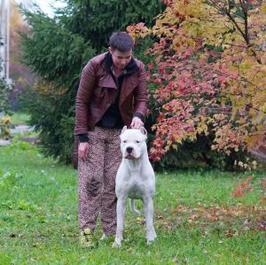 Dog Photo