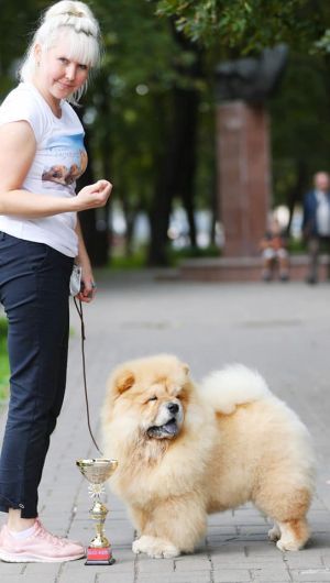 Dog Photo