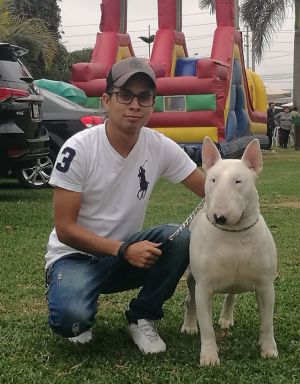 Dog Photo