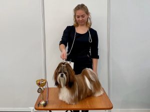 Dog Photo