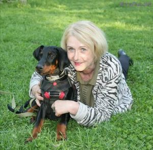Dog Photo