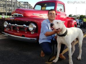 Dog Photo