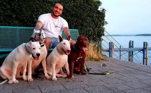 Dog Photo