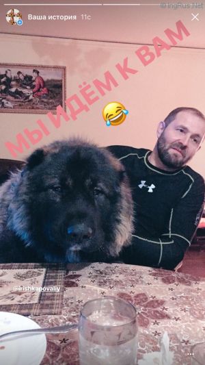Dog Photo