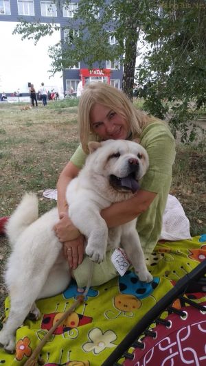 Dog Photo