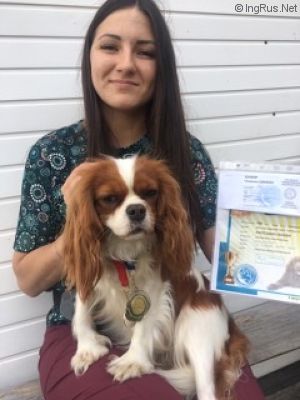 Dog Photo