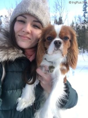 Dog Photo
