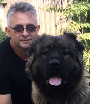 Dog Photo