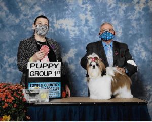 Dog Photo