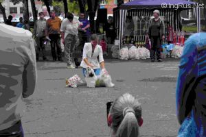 Dog Photo