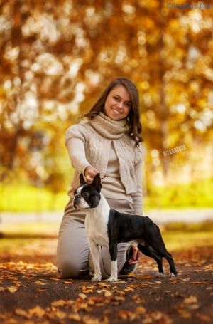 Dog Photo