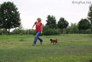 Dog Photo