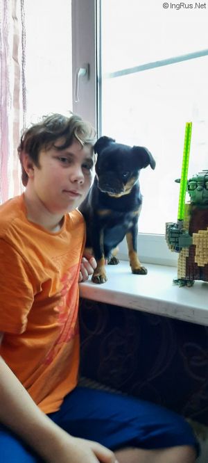 Dog Photo