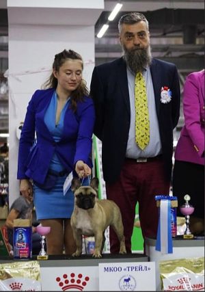 Dog Photo