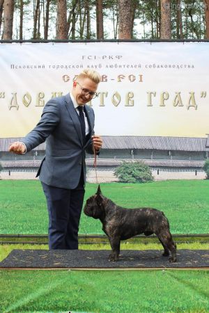 Dog Photo