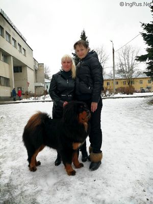 Dog Photo