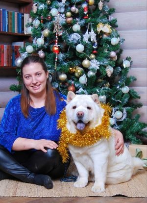 Dog Photo