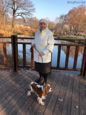 Dog Photo