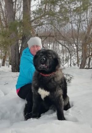 Dog Photo