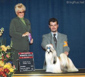 Dog Photo