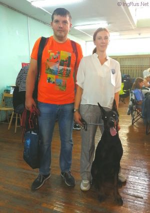 Dog Photo