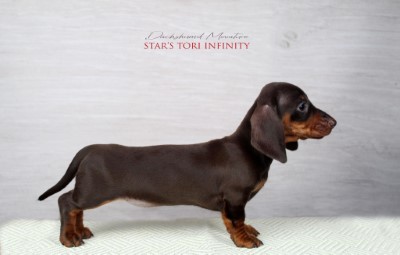 STAR’S TORI INFINITY