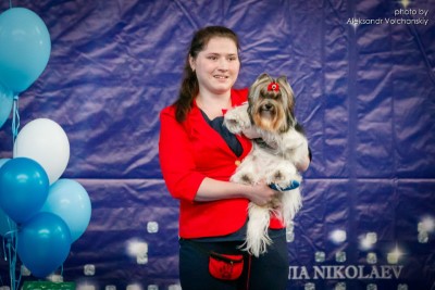 Dog Photo