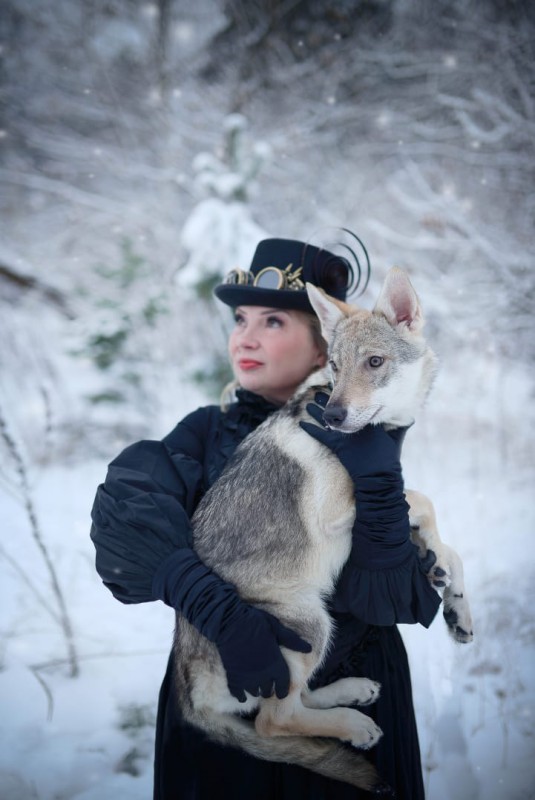 Dog Photo