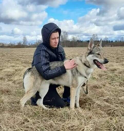 Dog Photo